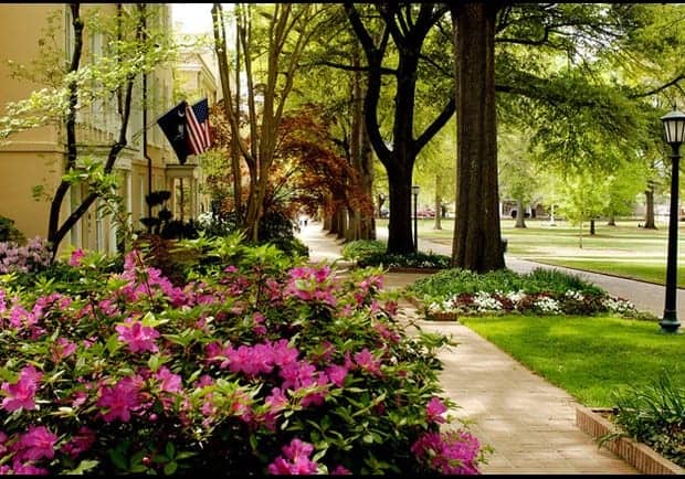 University of south carolina application essay